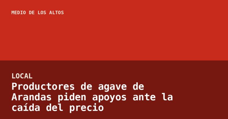 Productores de agave de Arandas piden apoyos ante la caída del precio