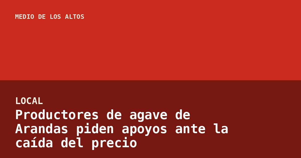 Productores de agave de Arandas piden apoyos ante la caída del precio